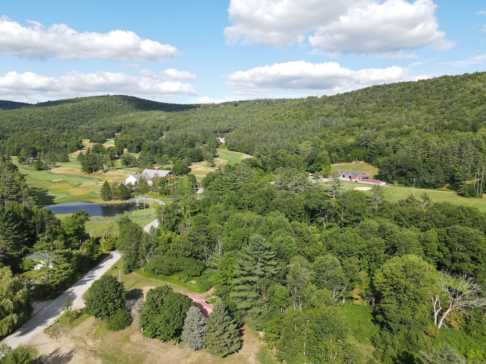An aerial view of a lush green forest with mountains in the background