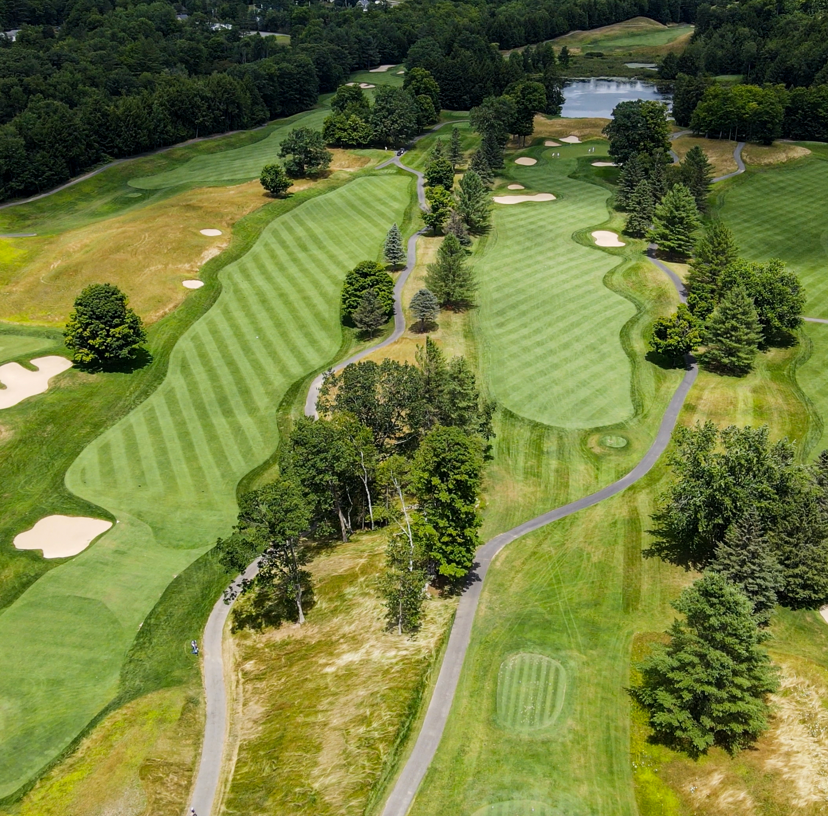 An aerial view of a golf course surrounded by trees
