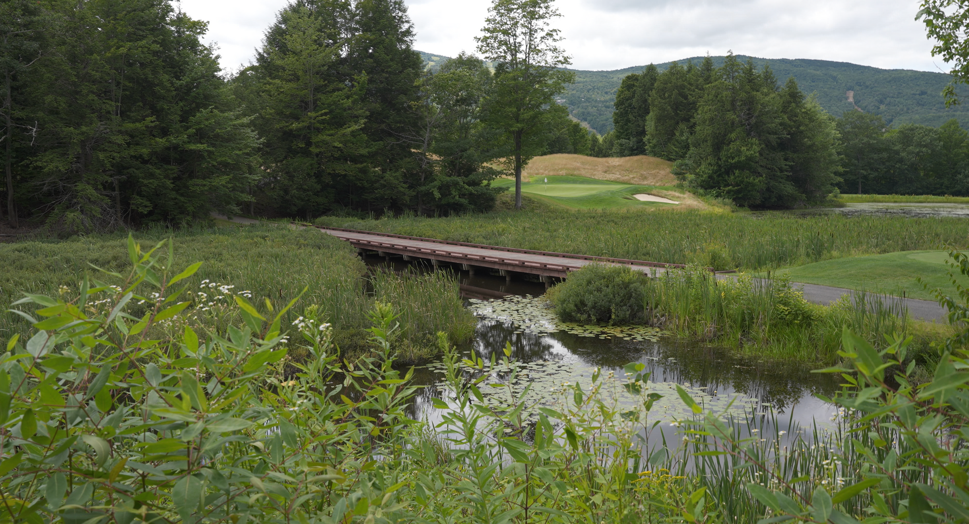 A wooden bridge over a body of water in the middle of a field.