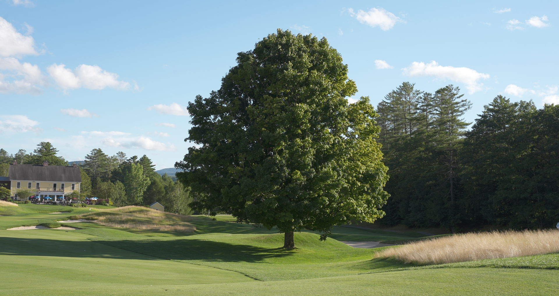 A golf course with a house in the background and a tree in the foreground