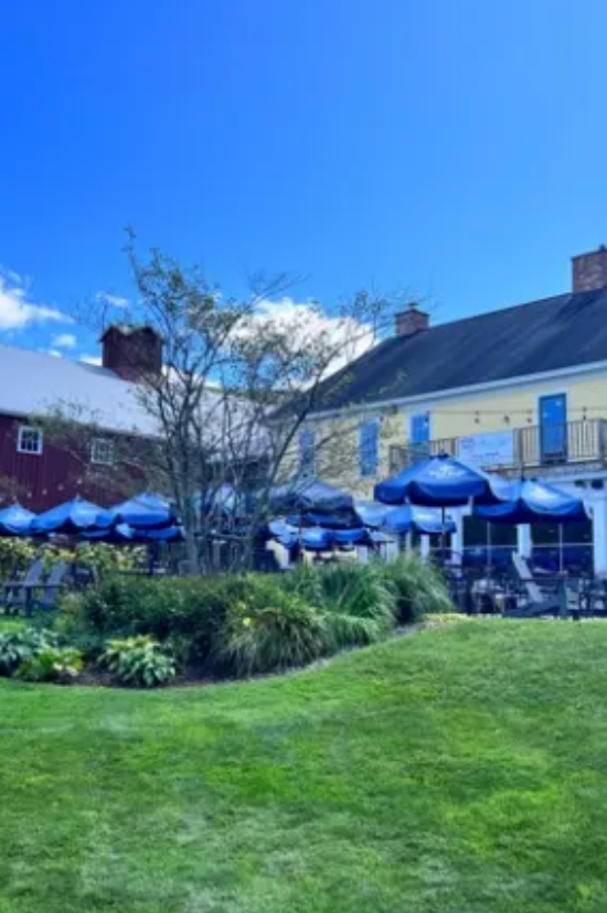 A large lawn in front of a building with blue umbrellas.
