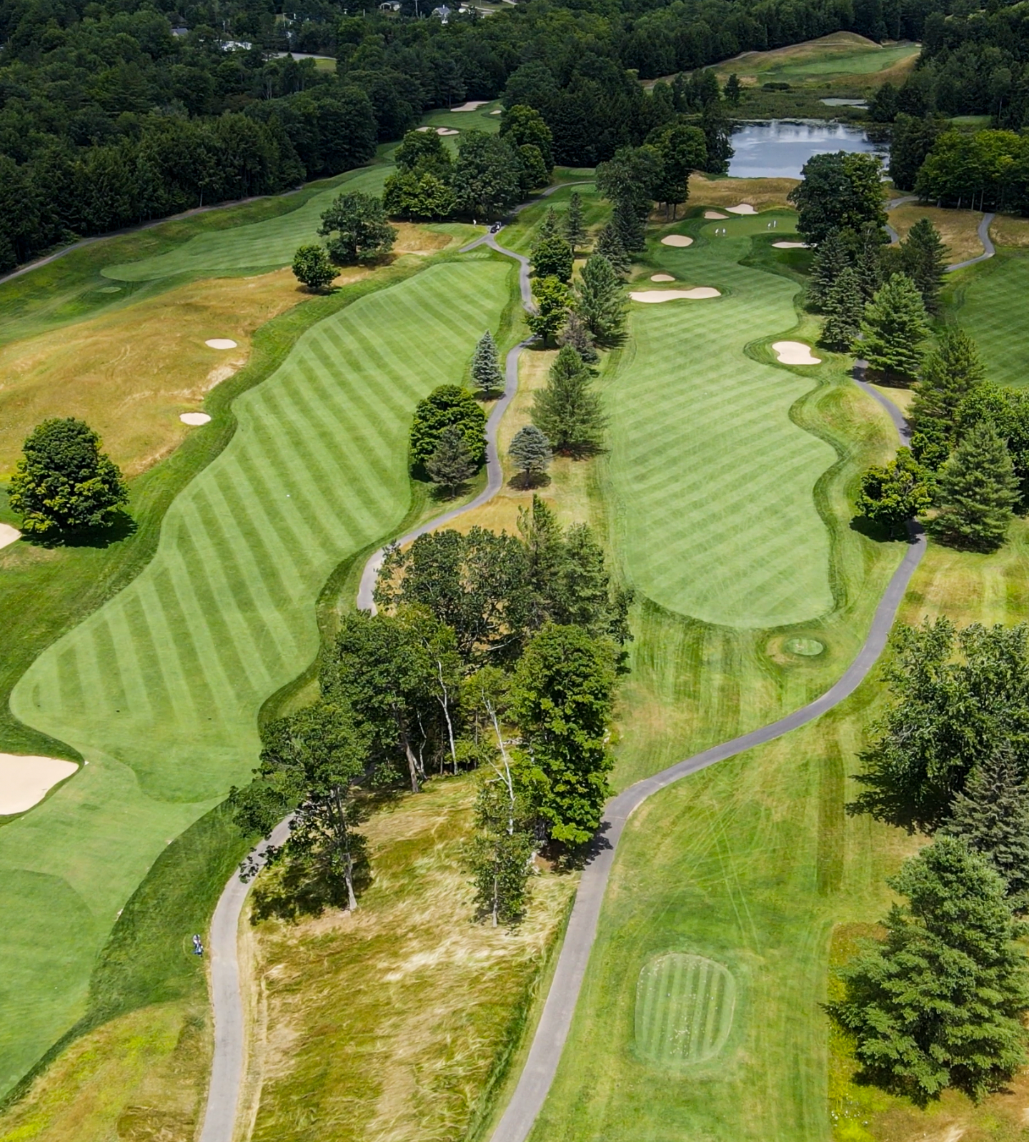 An aerial view of a golf course with trees and grass
