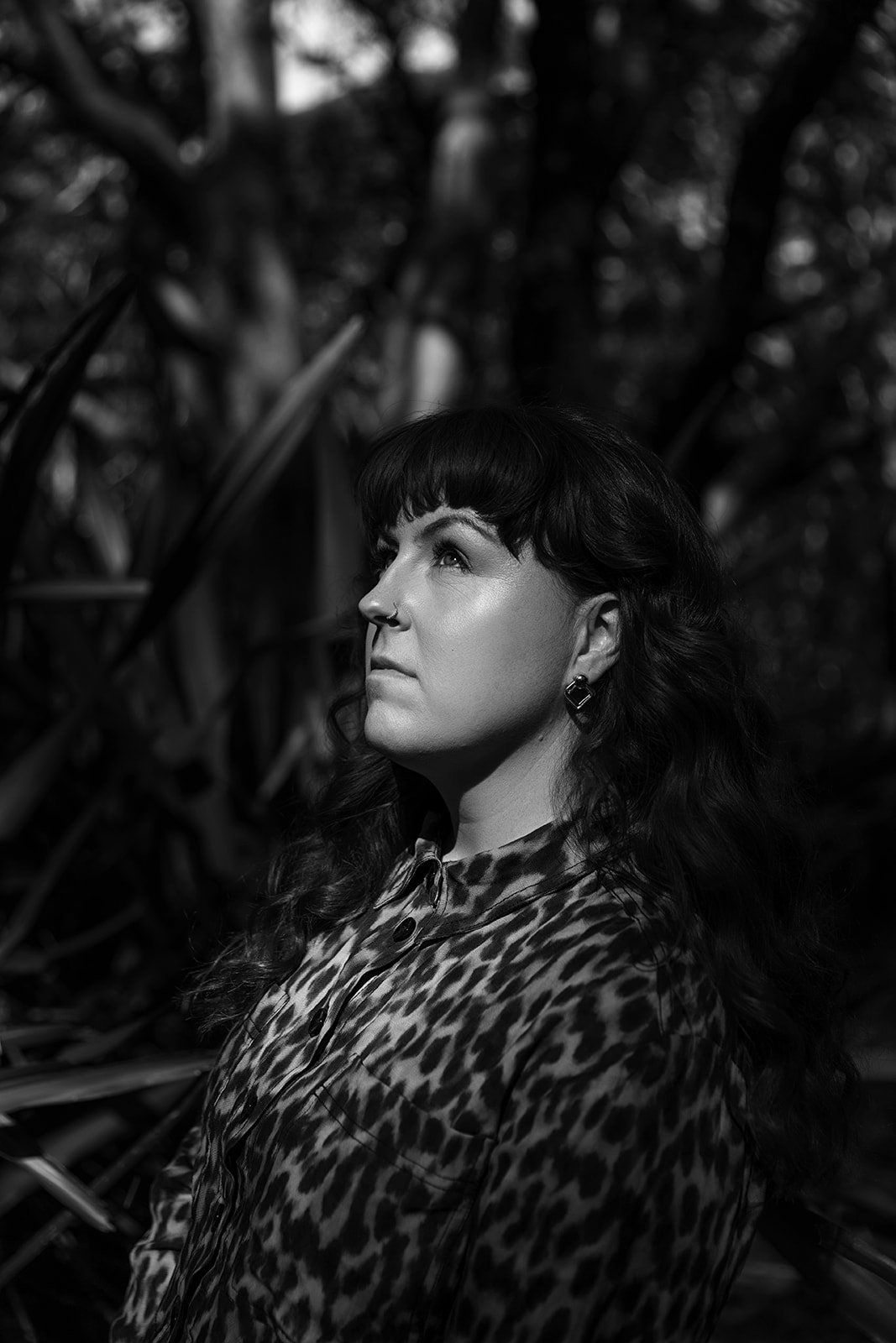 Woman In A Leopard Print Top Gazes Upward In A Dark — Everyday Interiors in Helensburgh, NSW