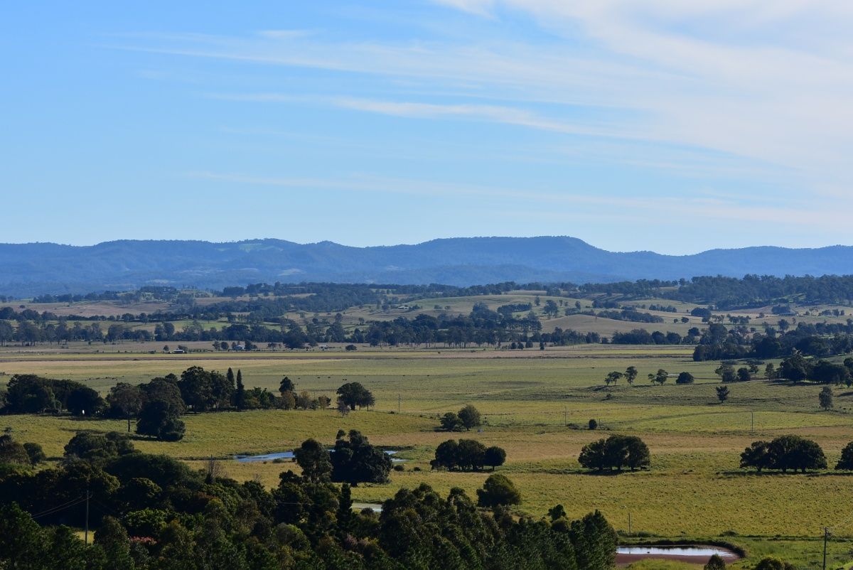 A View Of A Lush Green Field With Trees And Mountains In The Background — Premier Roofing Solutions In Kyogle, NSW