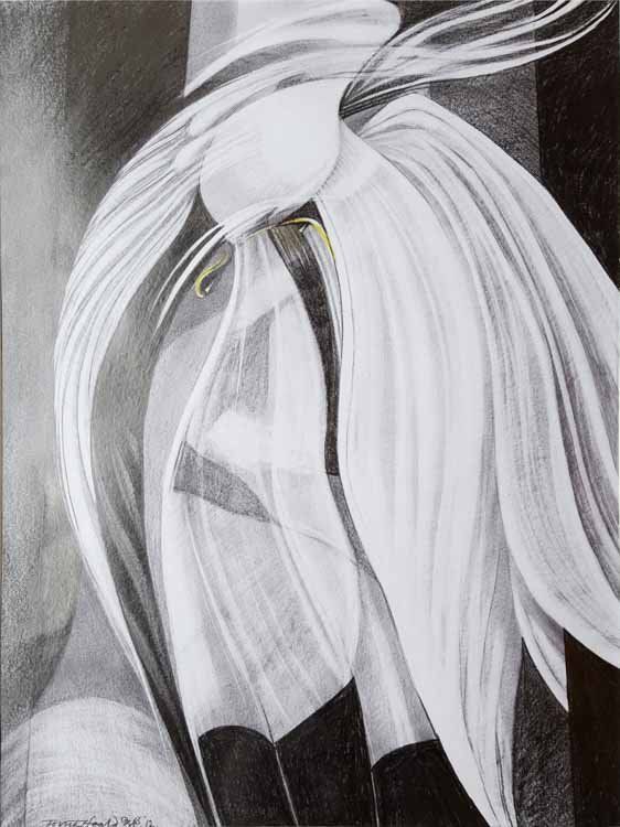 Image from the Backdrops collection