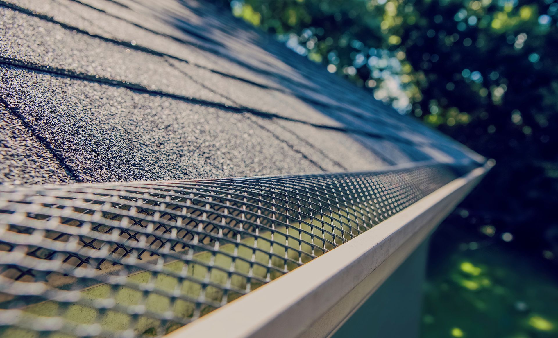 Gutters & Leaf Guards