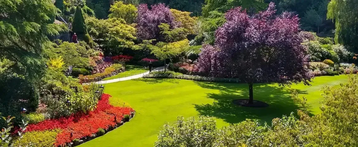 Why Hire a Professional Landscaper?