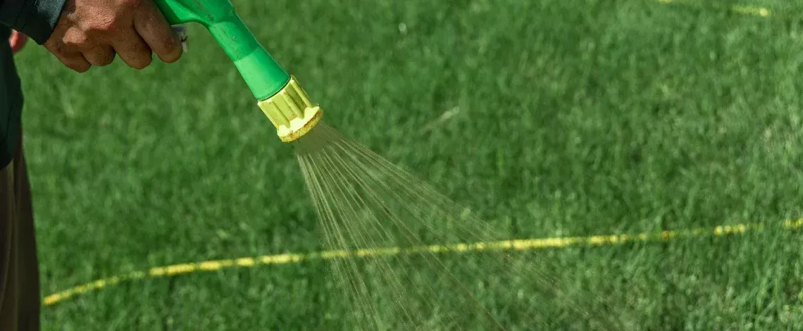 When to Apply Pre-Emergent for Crabgrass