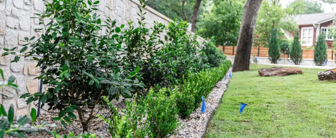 Can I Landscape in the Fall