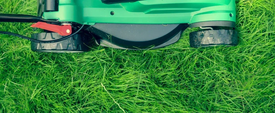 How Often to Water Lawn