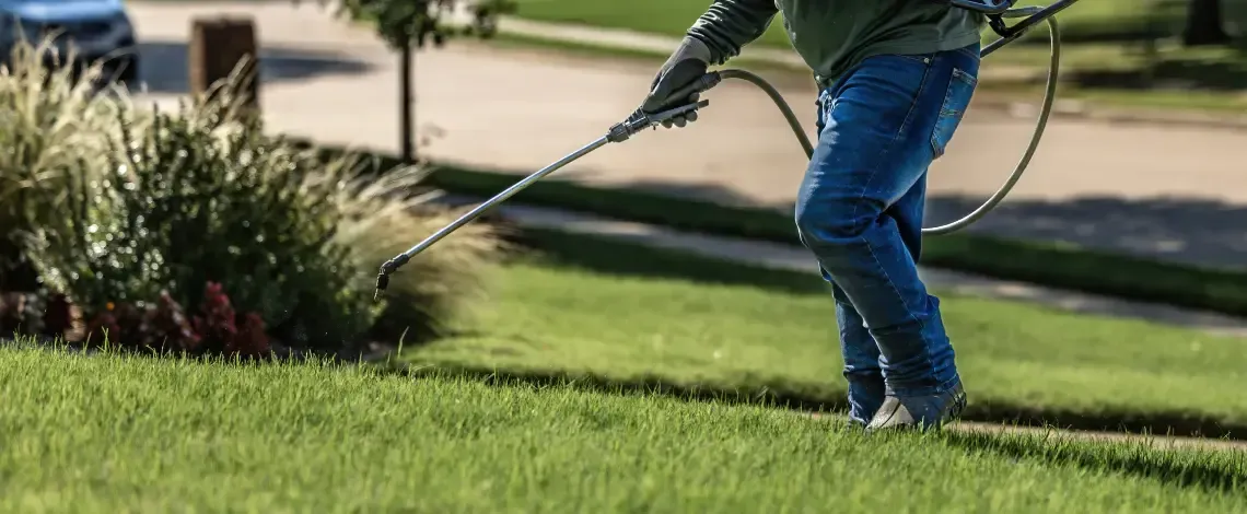 Why Weed Control is Important
