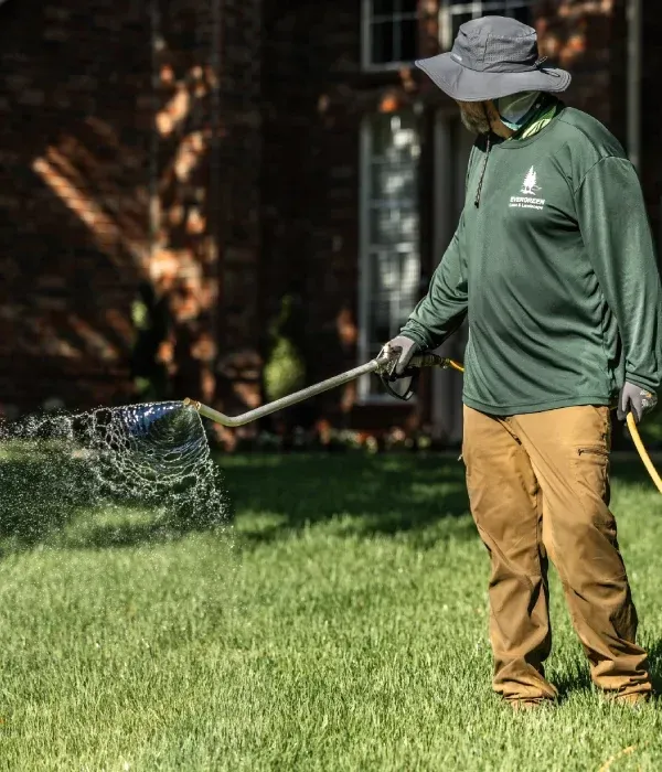 Seasonal lawn feeding and fertilizer service in Argyle TX improving grass strength color and overall lawn health