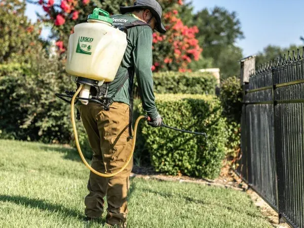 Lawn fungicide treatment in Argyle TX protecting grass from fungal diseases and maintaining a healthy lawn appearance