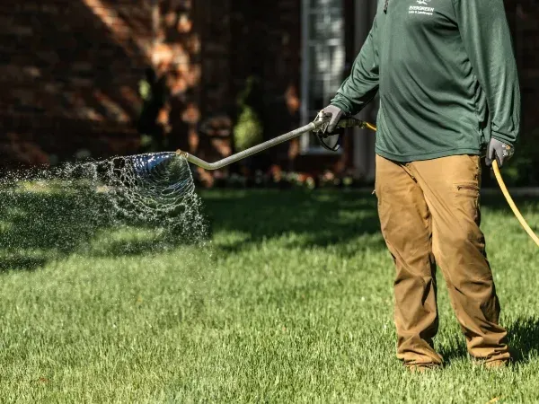 Lawn weed prevention service in Argyle TX stopping invasive weeds and supporting healthy grass growth