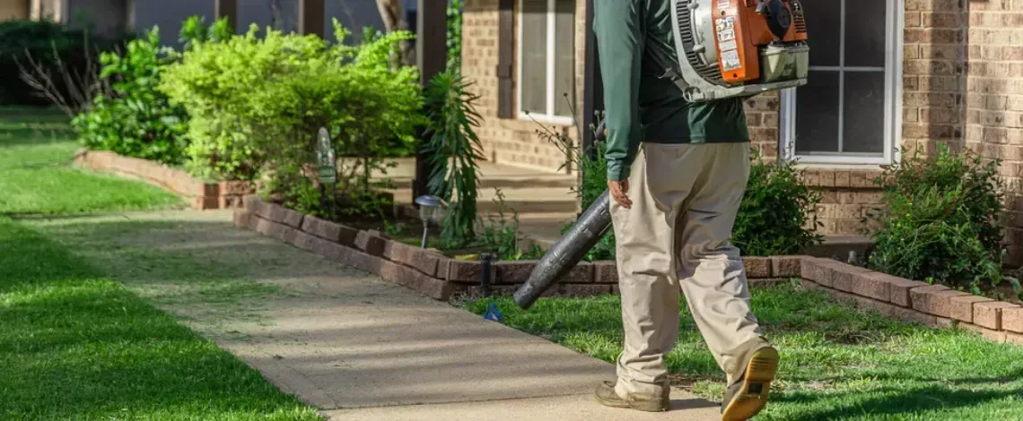 Leaf Cleanups- Why Should I Do it? What are the Options?