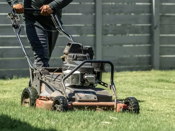 Neatly trimmed lawn mowing service in Argyle TX maintaining a tidy and evenly cut residential lawn