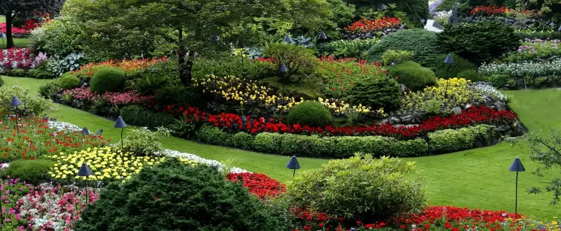 How Often to Water New Landscaping Plants