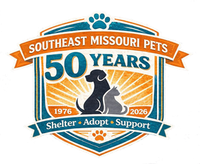 A white background with a few lines on it