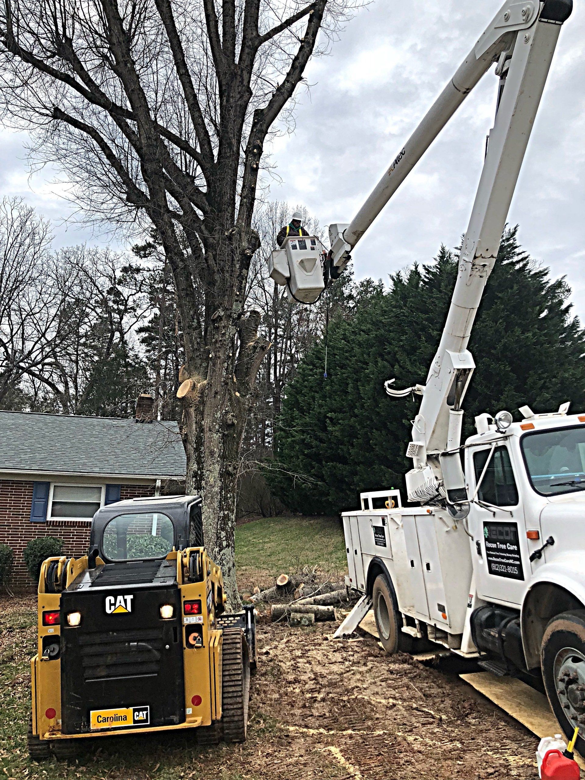 tree removal service in Huntersville, NC