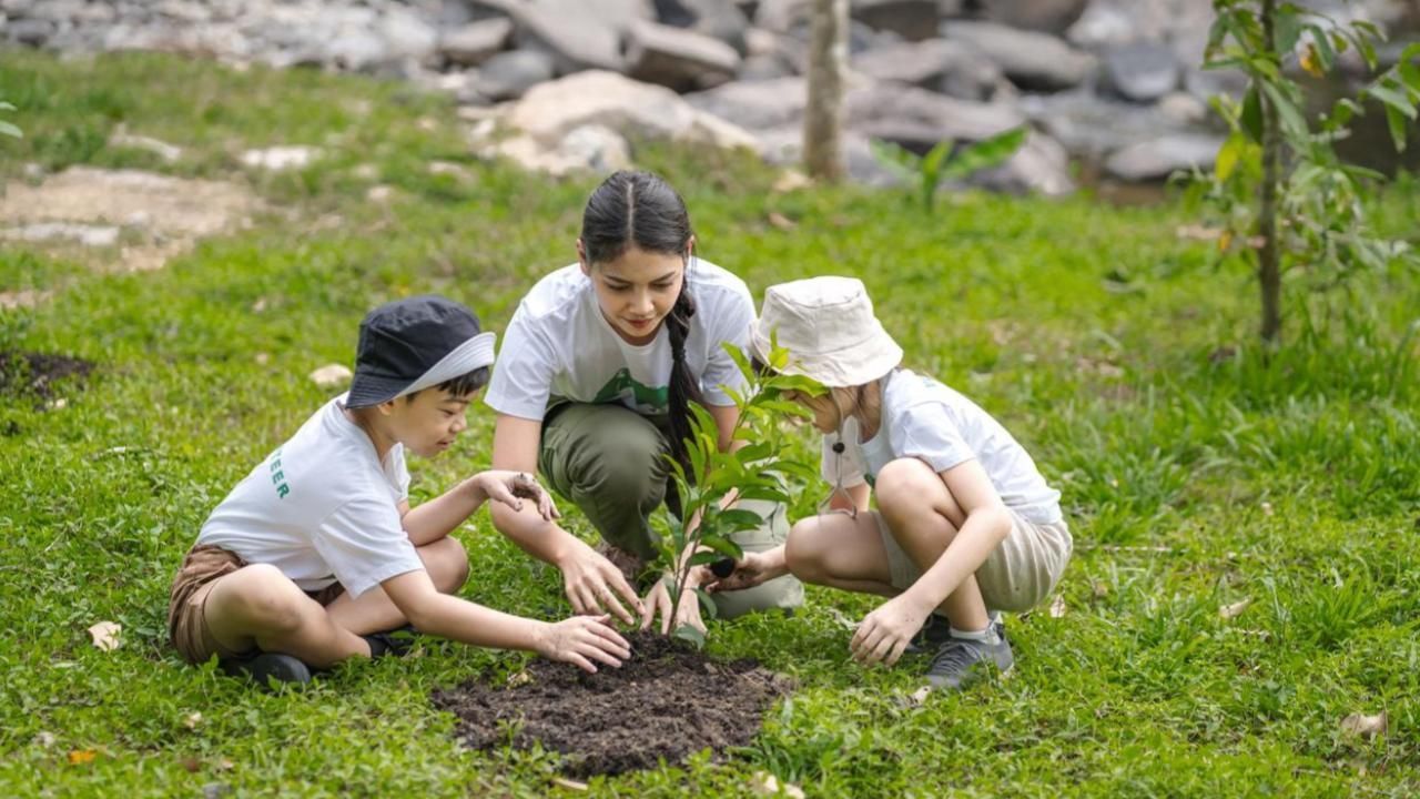 Uma mulher e duas crianças estão plantando uma árvore na grama.