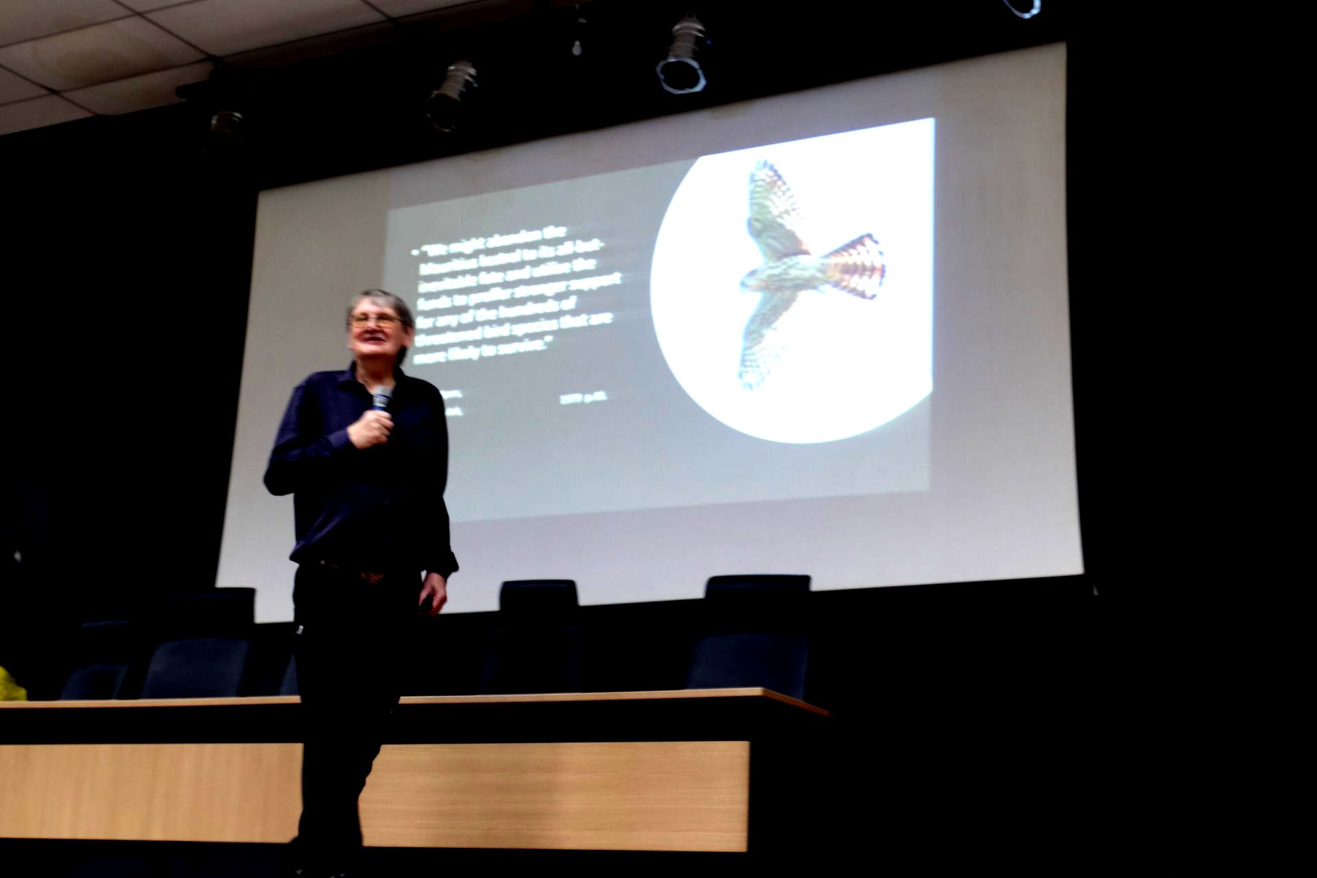 Um homem está em frente a uma tela grande com a imagem de um pássaro