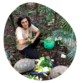 Uma mulher está ajoelhada ao lado de um grupo de tartarugas comendo vegetais.