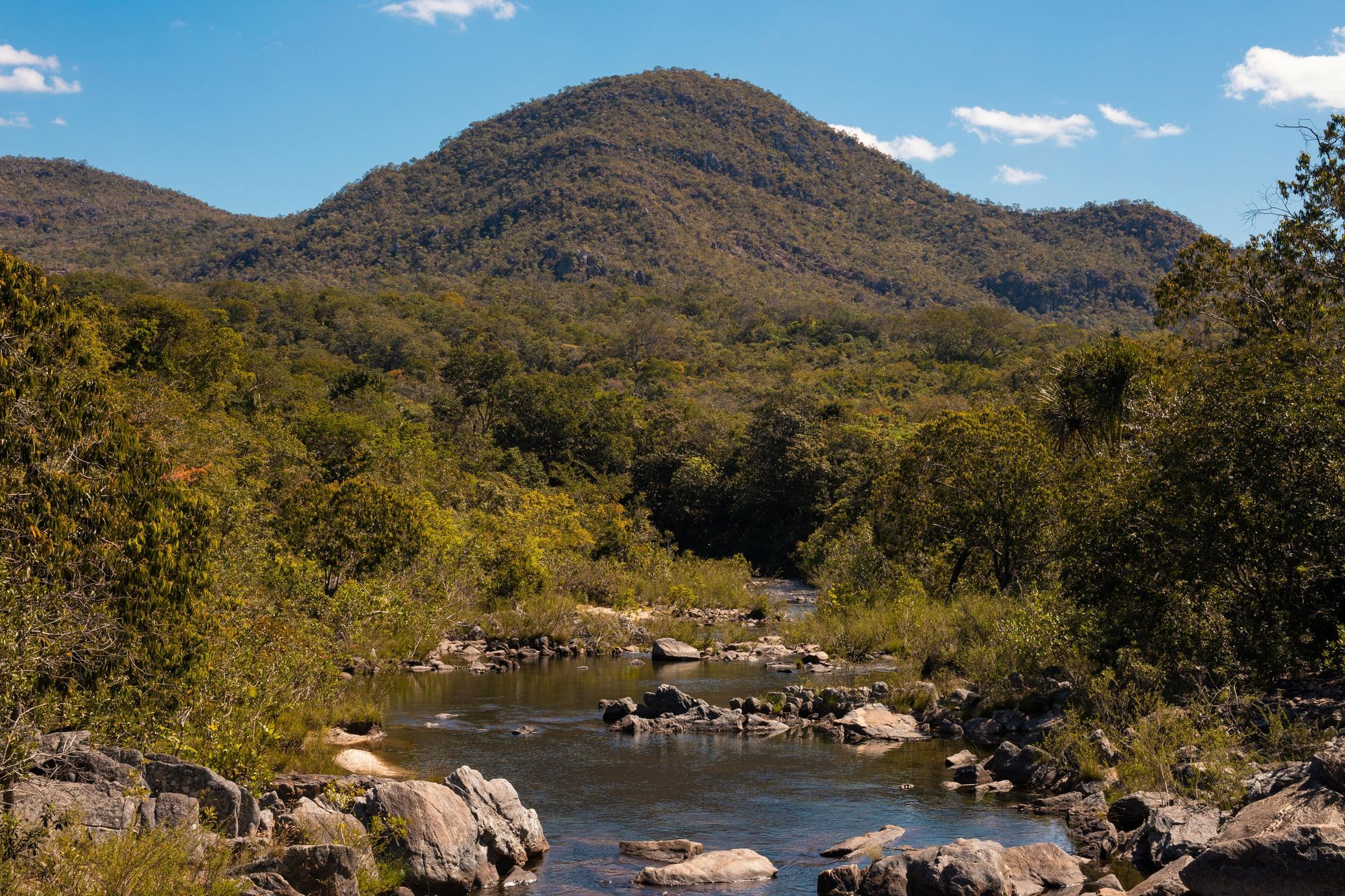 River flowing through a forest with a large mountain in the background under a blue sky.