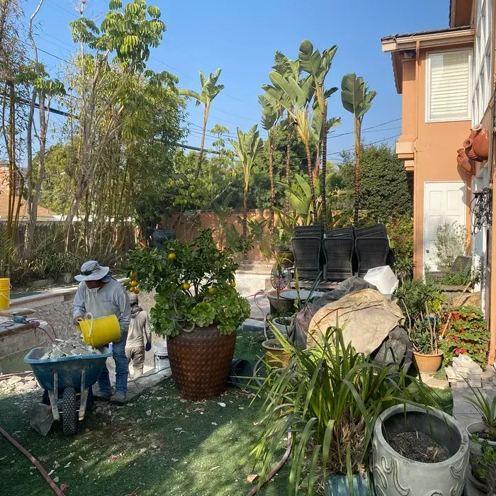 Gardener watering potted plants in a sunny backyard with trees and a house.