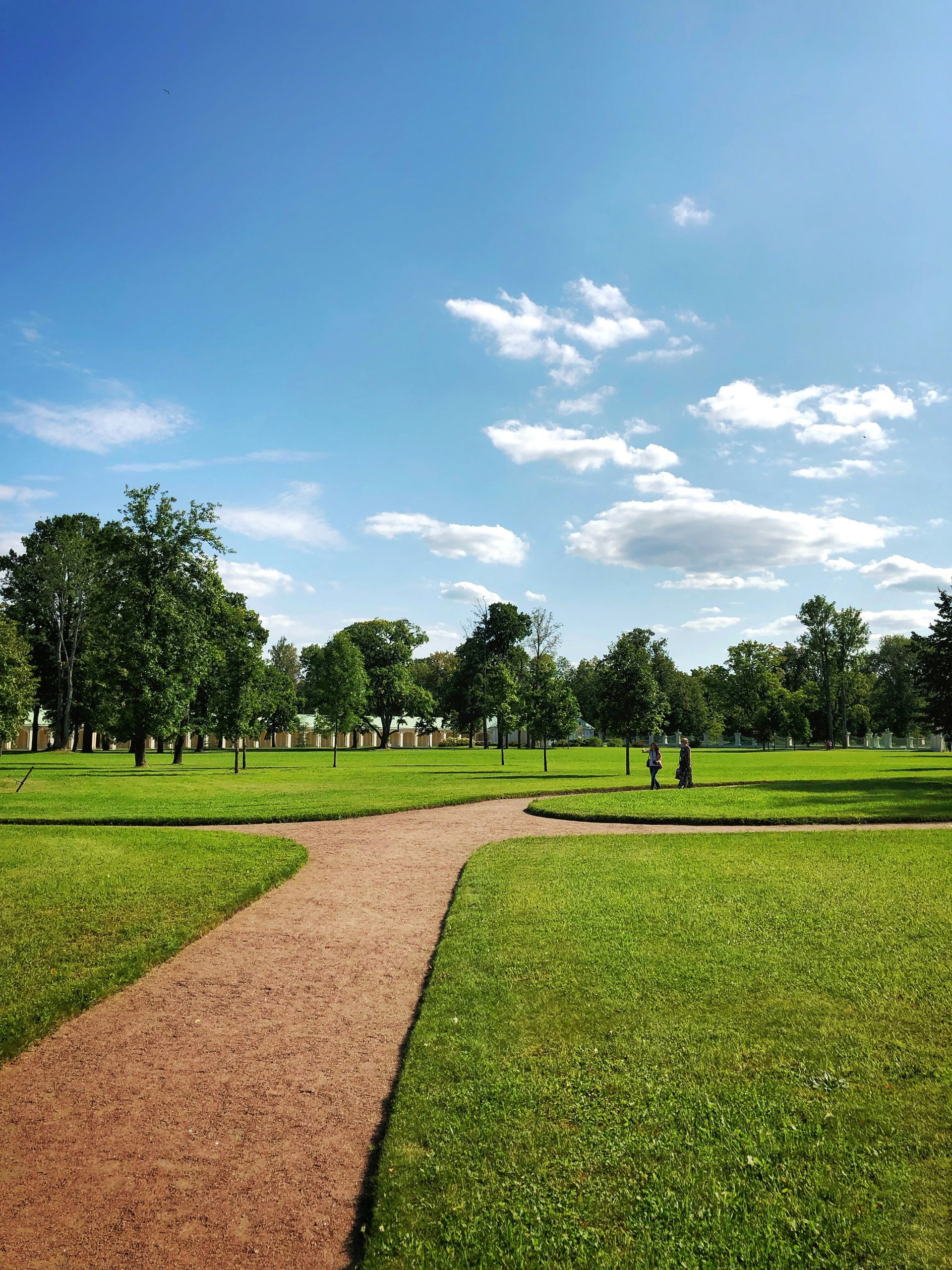 Sunny park with a winding dirt path, green grass, and scattered trees under a blue sky with clouds