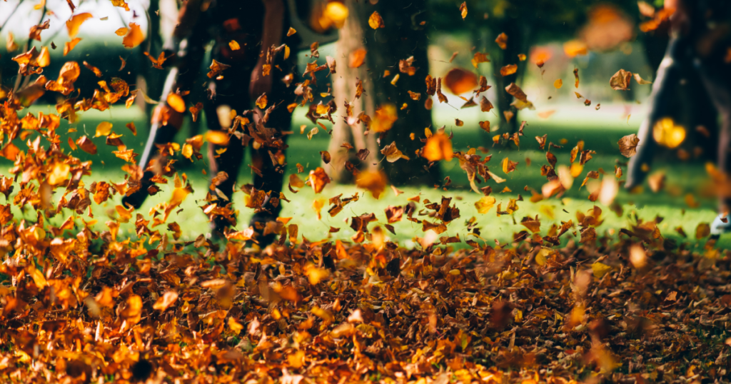 A rake is sitting on top of a pile of leaves.