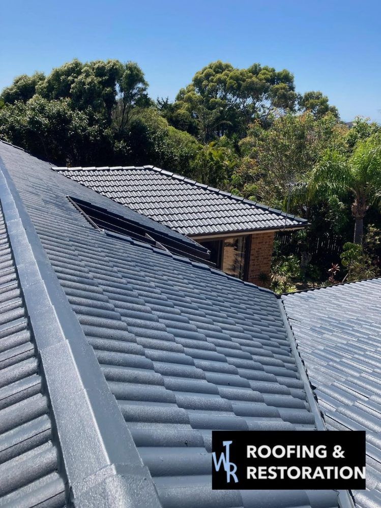 A Picture of a Roof With Trees in the Background — Wayne Treasure Roofing & Restoration In Forster, NSW