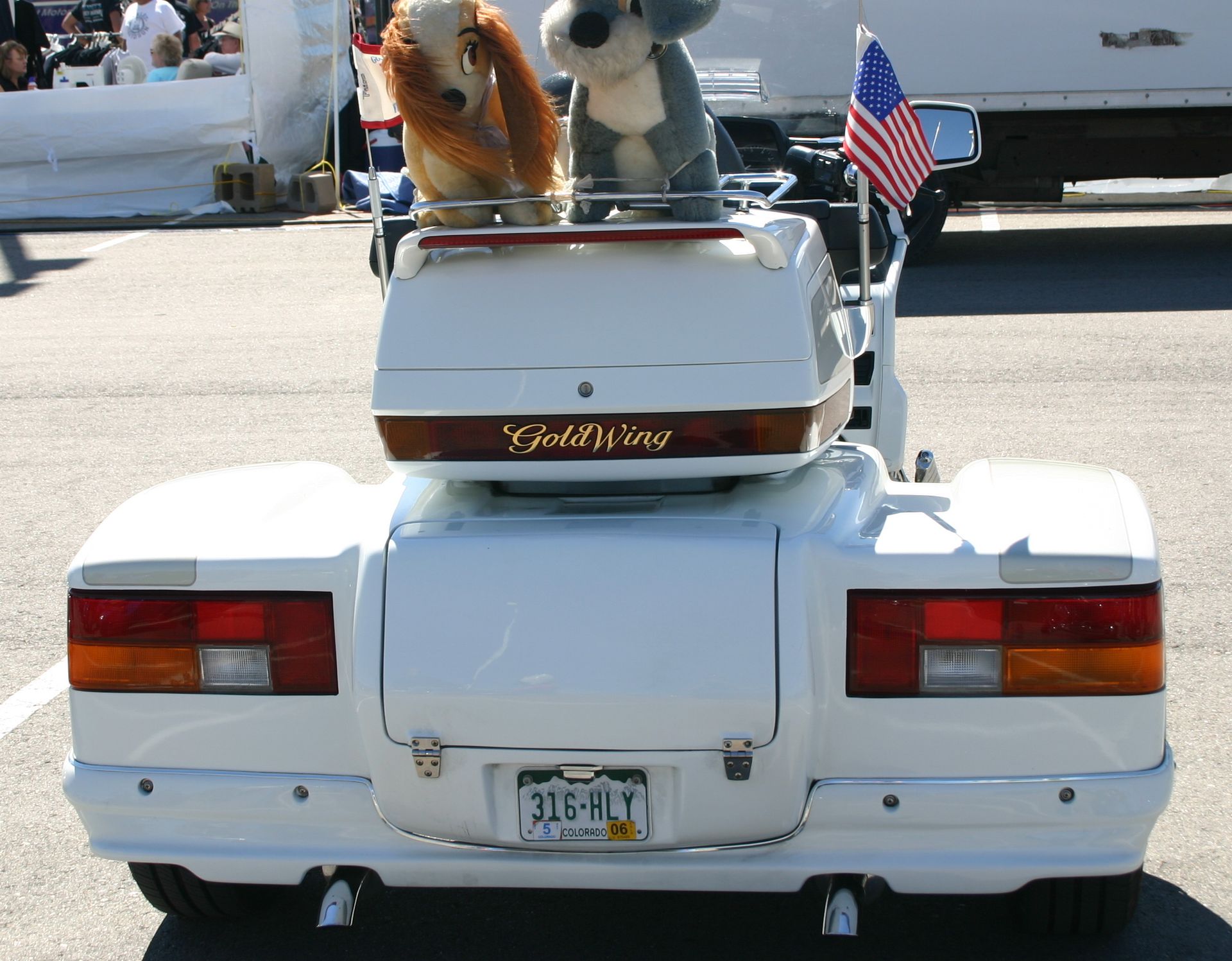 NECE Trikes Trikes Windsor, CO