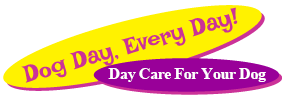 Dog Day Every Day logo