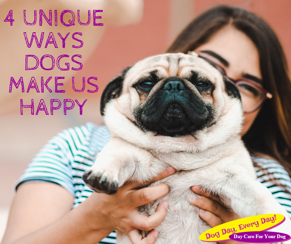4 Unique Ways Dogs Make Us Happy