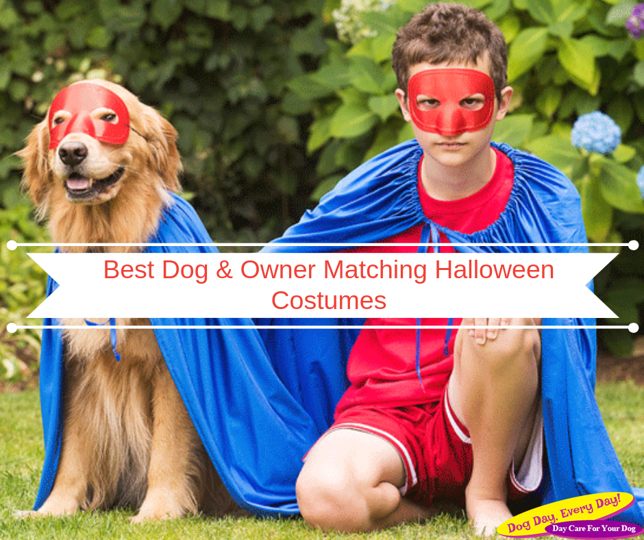 Cutest Dog and Owner Couple Halloween Costumes 2018