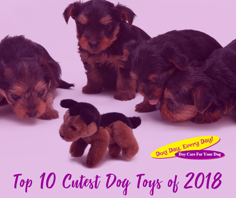 Top 10 Cutest Dog Toys