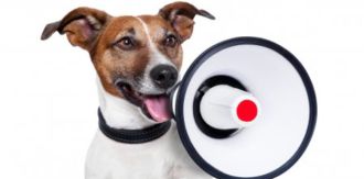 dog with megaphone