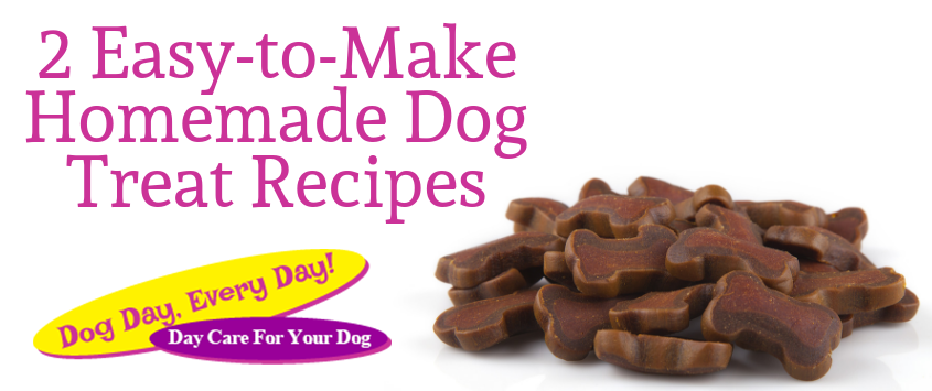 Easy-to-Make Homemade Dog Treat Recipes