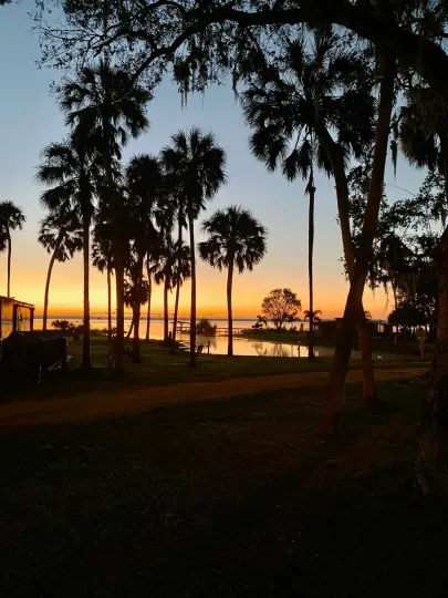 Silhouetted palm trees frame a serene sunset over a calm body of water with a glowing orange and blue horizon.