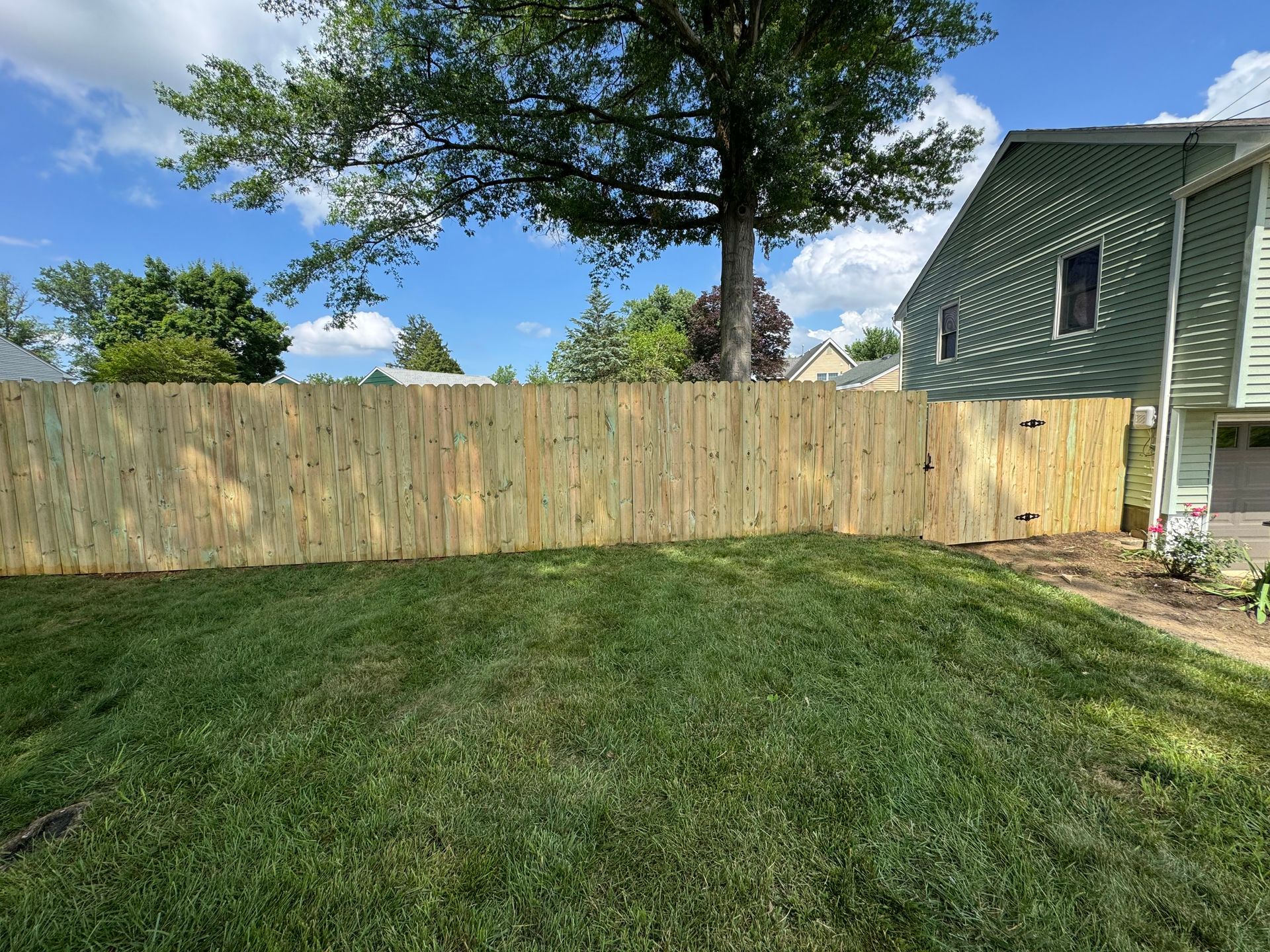 Backyard with green lawn, wooden privacy fence, large tree, and house siding on the right