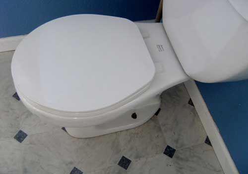 A white toilet is sitting on a tiled floor next to a blue wall.