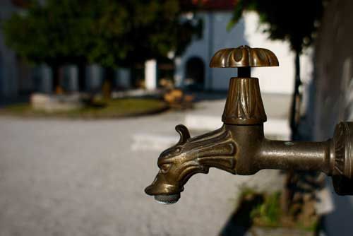 A close up of a brass faucet with a tree in the background.