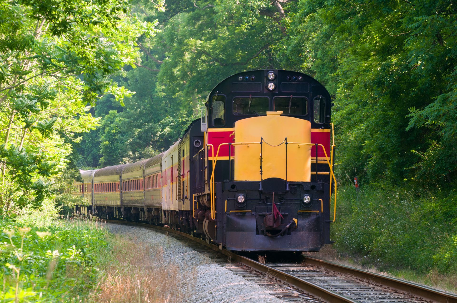 Adirondack Railroad | Covewood Lodge