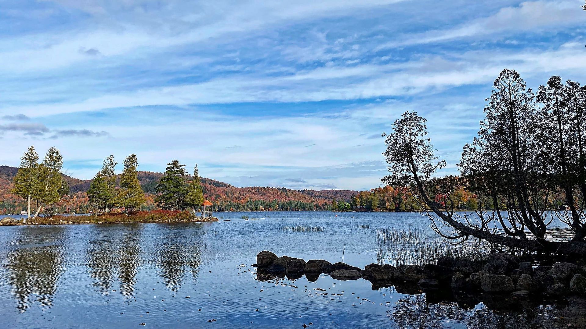 view of a lake with fall foliage