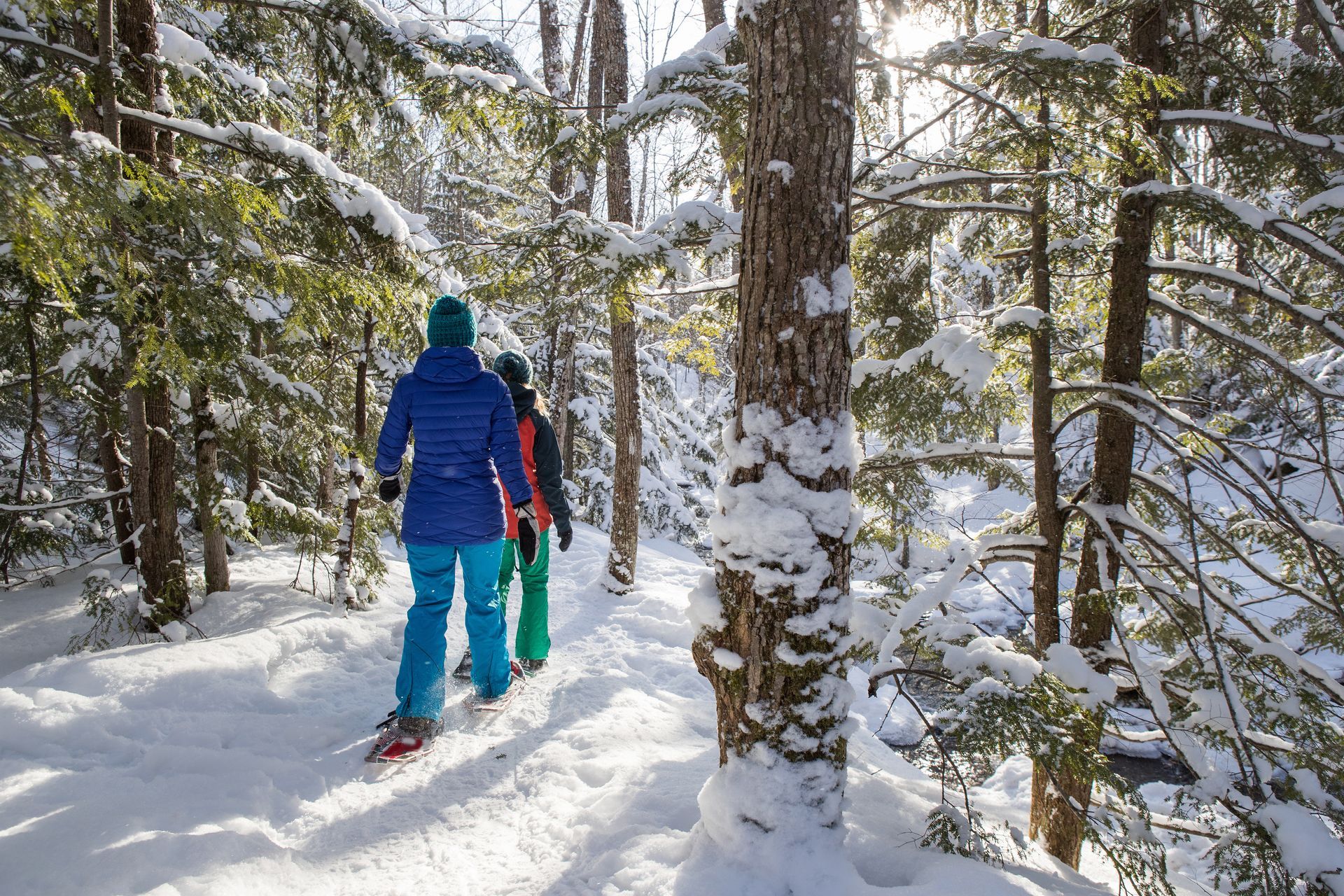 A group of people are walking through a snowy forest.