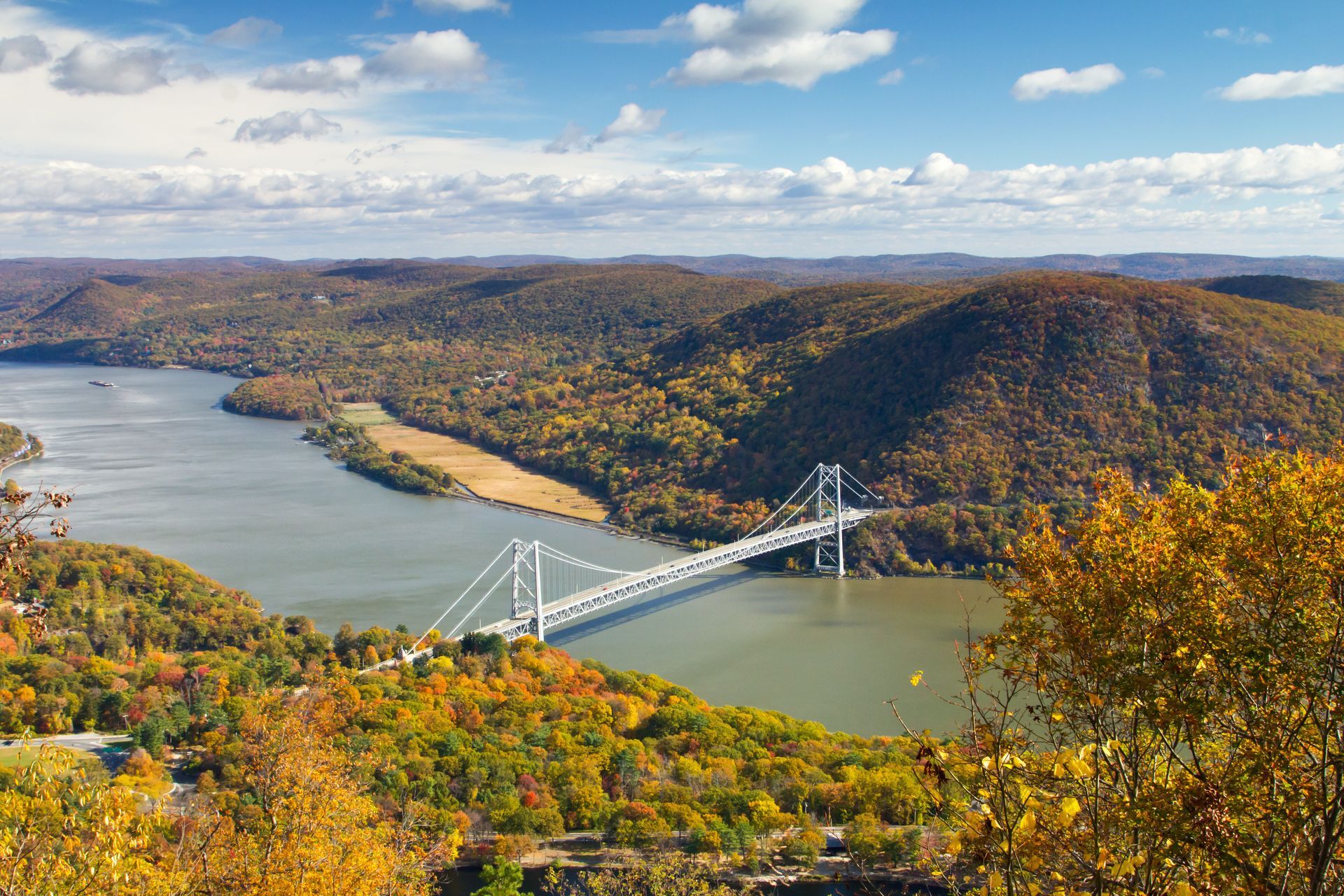 An aerial view of a bridge over a river surrounded by trees.