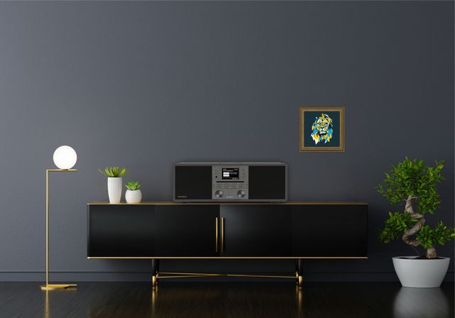 TechniSat récepteur DAB+ DIGITRADIO 650