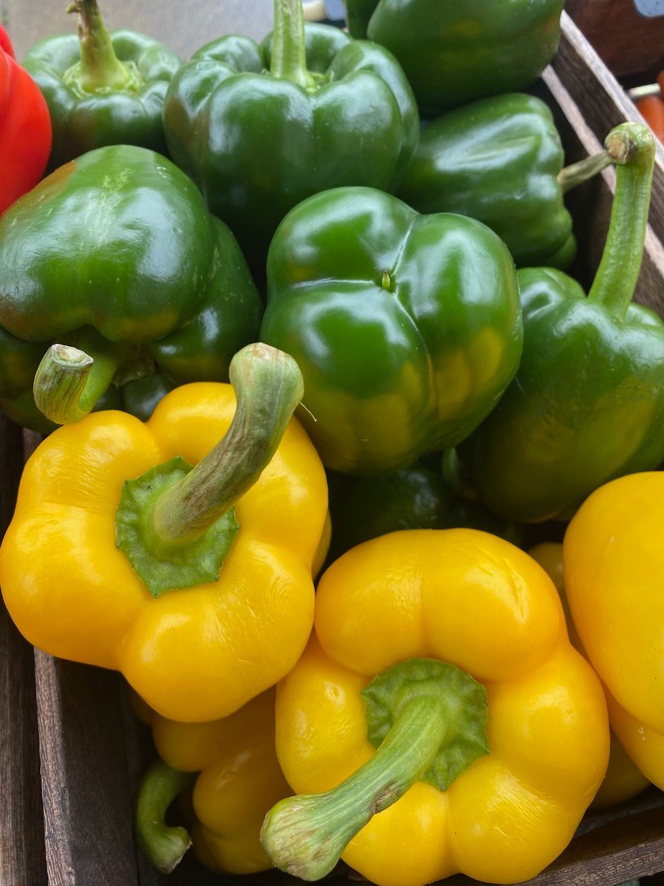 Green & yellow peppers