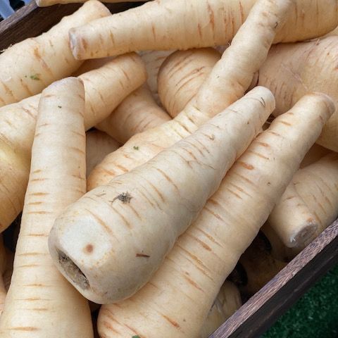 Parsnips