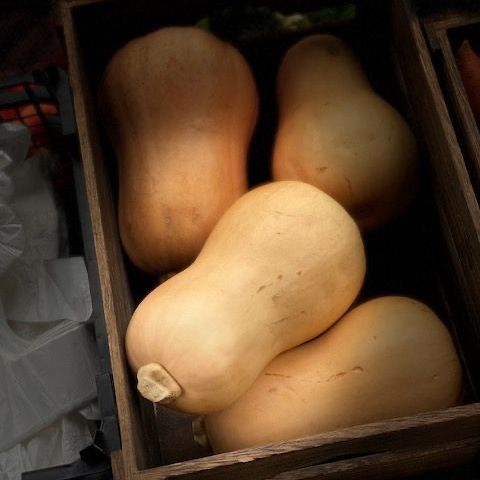 Butternut Squash